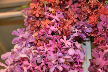 bouquet of orchid