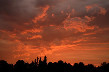 Fantastic warm sunset colors in the clouds with a treeline silhouette in the foreground