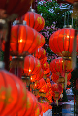 Lanterns at Buddhist Temple