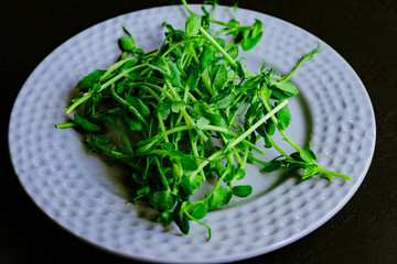 green sprouts of peas on a plate. baby vegetables. Raw sprouts, microgreens, healthy eating concept.