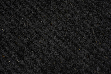 The gray background of the house wall