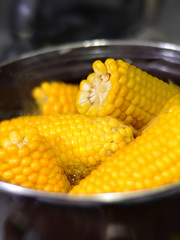Brown Saucepan with boiling yellow tasty  corn and steam above it on a kitchen cooking 