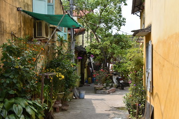 Verdant Residential Alley, Hoi An, Vietnam