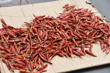 Fototapeta premium Red Chili Peppers Drying on Cardboard, Hoi An, Vietnam