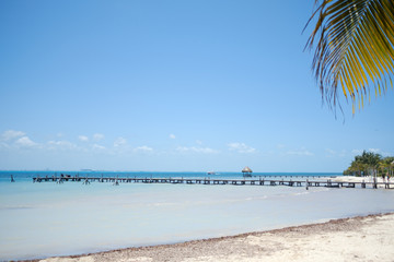 Sunny tropical beach with palm trees.