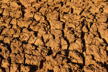 Dry cracked earth background in arid season. Many Province of North East in Thailand the ground dry. Brown cracked soil in the summer When water in Mekong, canal, brook, reservoir, dry up. Dryness.