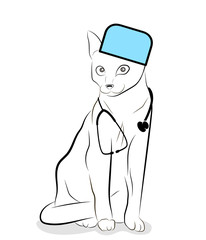 cat doctor. animal treatment. vector illustration.