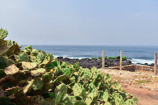 Playa de Yoff, Dakar, Senegal, naturaleza  africana
