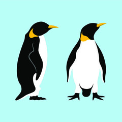 Penguin mascot illustration. Penguin character cartoon