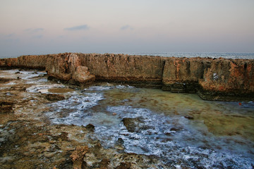 chypre