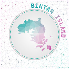 Vector polygonal Bintan Island map. Map of the island with network mesh background. Bintan Island illustration in technology, internet, network, telecommunication concept style.