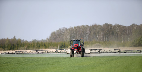 Tractor with high wheels is making fertilizer on young wheat. The use of finely dispersed spray chemicals. Tractor with a spray device for finely dispersed fertilizer.