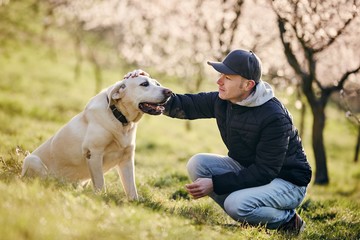 Man with dog in spring nature