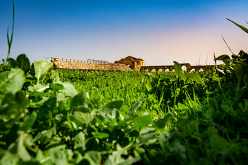 Hippodrome of Roman Ruins of Gerasa, Jerash, Jordan, low angle viewpoint. Grass in foreground.