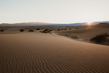 Mesquite Ebene im Death Valley am Morgen