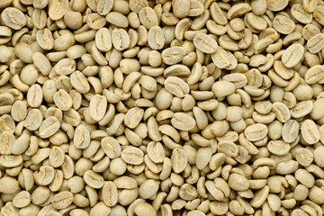 Green coffee beans background. Texture top view.