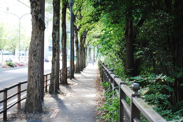 歩道