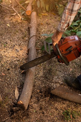 close up of man who cuts wood with cutter saw