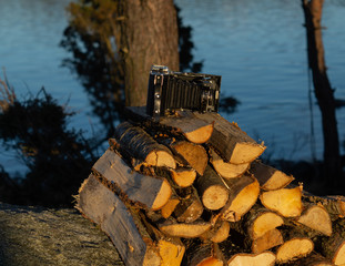 Vintage analoge camera on a pile of wood  on rock with lake and trees in the background