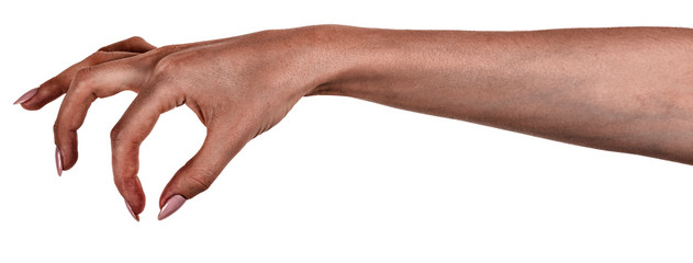 Female black hands isolated white background showing gesture holds something or takes, gives....