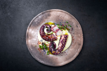 Traditioneller italienischer gegrillter Oktopus polpo alla griglia su crema di patate mit Kartoffel Püree Creme und Chili als Draufsicht auf einem rustikalen Modern Design Teller mit Textfreiraum © HLPhoto