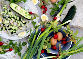 cebolinha verde com rabanete, ovo cozido - cozinhar salada primavera.
