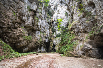 (affunnaturo) Affondatoio di Vallivona is a natural sinkhole, a karst sinkhole in Cilento. Cilento and Vallo di Diano national park, Salerno, Campania, Italy
