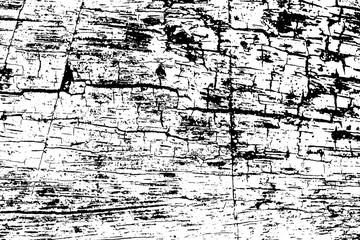 Cracked wooden texture vector on transparent background. Old tree bark ornament. Aged wooden bark