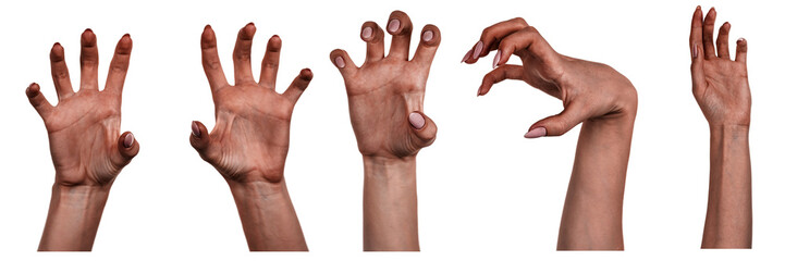 Multiple images set female black hands isolated white background showing different gestures. Collage of hands of a african woman  with manicure