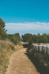 Fototapeta premium Salin hyeres