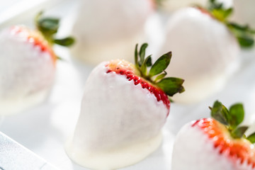 Chocolate dipped strawberries