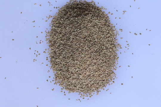 Herbal ajwain seeds over white background