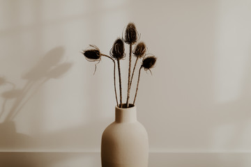 Bunch of wild dried flower in beige vase in a room with white wall