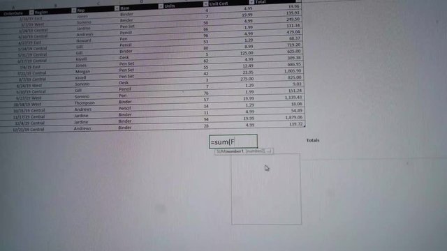 Data Analyst Forecasting Business Revenue in Microsoft Excel