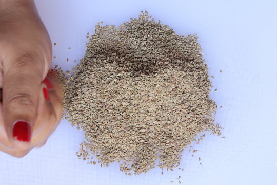 Herbal ajwain seeds over white background