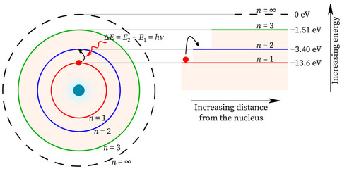 Electron jump from lower energy to higher energy in hydrogen and energy is absorbed Bohr atomic model atom structure theory nucleus absorption shell orbit principal quantum numbers