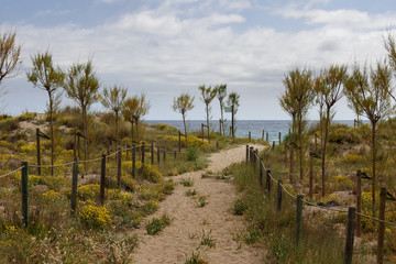 Fototapeta premium path in the coast in girona