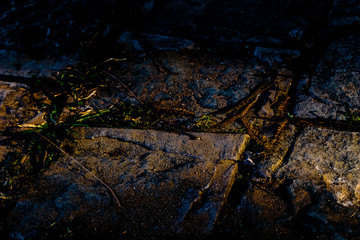 ealry morning click dynamic bluish black yellow color texture. dynamic concept.jpg