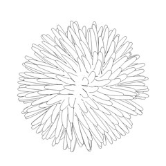 Corona virus COVID-19. Coronavirus 2019-nCoV pencil sketch isolated on white background. China pathogen respiratory infection asian flu outbreak. 3d render.