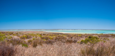 Fototapeta premium South Africa Langebaan Nature with blue sky and turquoise water