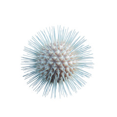 Corona virus COVID-19. Coronavirus 2019-nCoV isolated on white background. China pathogen respiratory infection asian flu outbreak. 3d render.