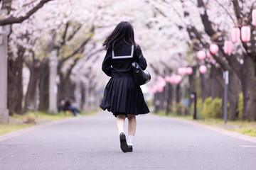 女子生徒と桜