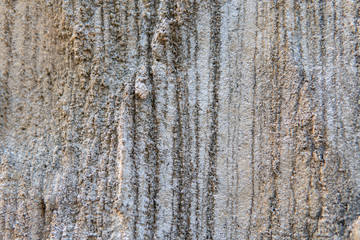 Obraz premium concrete wall texture close-up