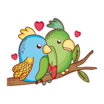 cute animals, couple parrots in branch tree love cartoon