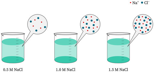 Molarity concentration increases sodium chloride, NaCl and water solution, measuring beaker