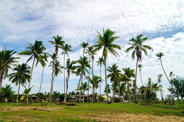 Fototapeta na wymiar Traditional fishing village located in Terengganu, Malaysia under blue sky background