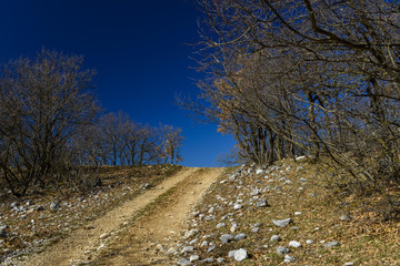 Paysage d'hiver dans les Abruzzes en Italie