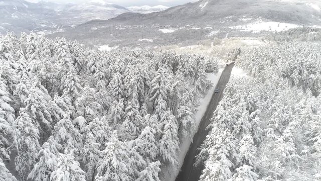 VISTA DA DRONE STADA DI MONTAGNA E PINETA INNEVATA