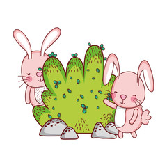 cute animals, rabbits bush nature botanical