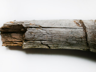 Driftwood/aged wood over white background. Isolated piece of driftwood top view. Driftwood stick closeup, wood texture for aquarium.